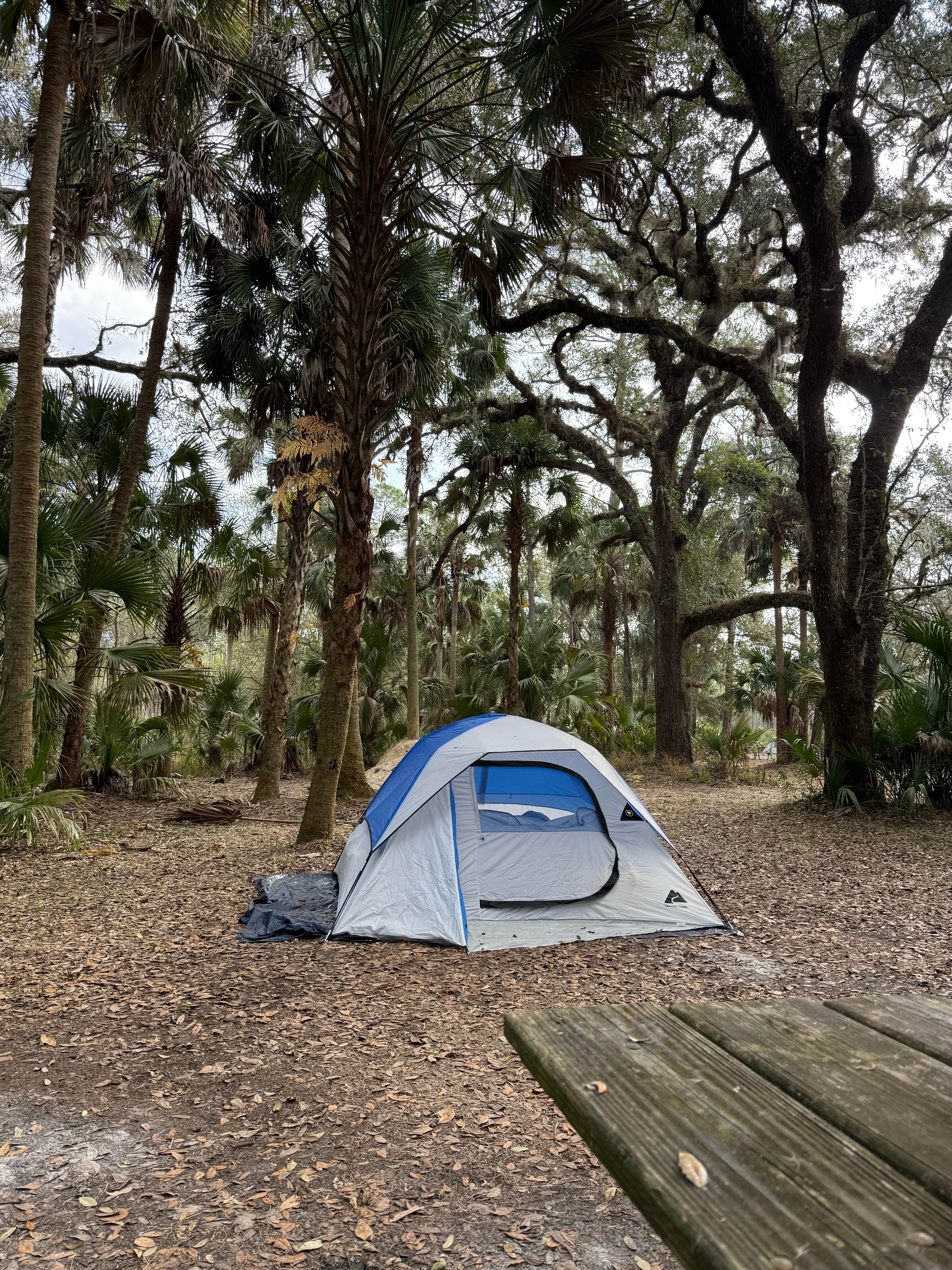 Morgan R.'s photo at River Road Campground — Lake George State Forest near Paisley, FL