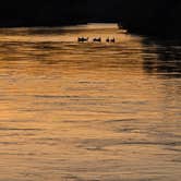Review photo of River’s Edge RV and Cabin Resort by Nichole D., July 22, 2025