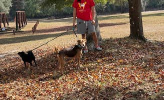 jho F.'s photo of camping with pets at River's Edge RV Campground near Niceville, FL