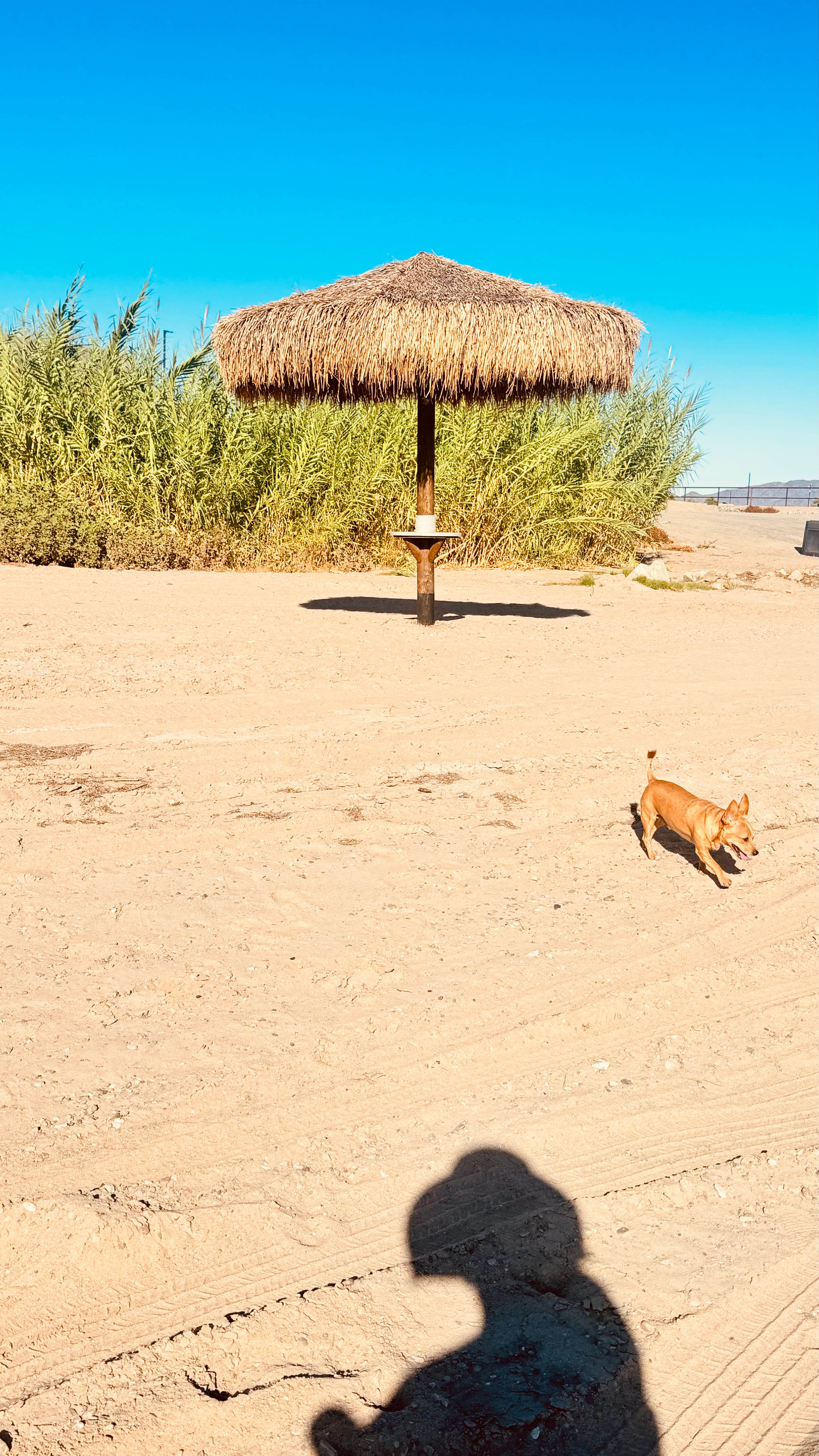 Camper submitted image from River Sands RV Resort - 4