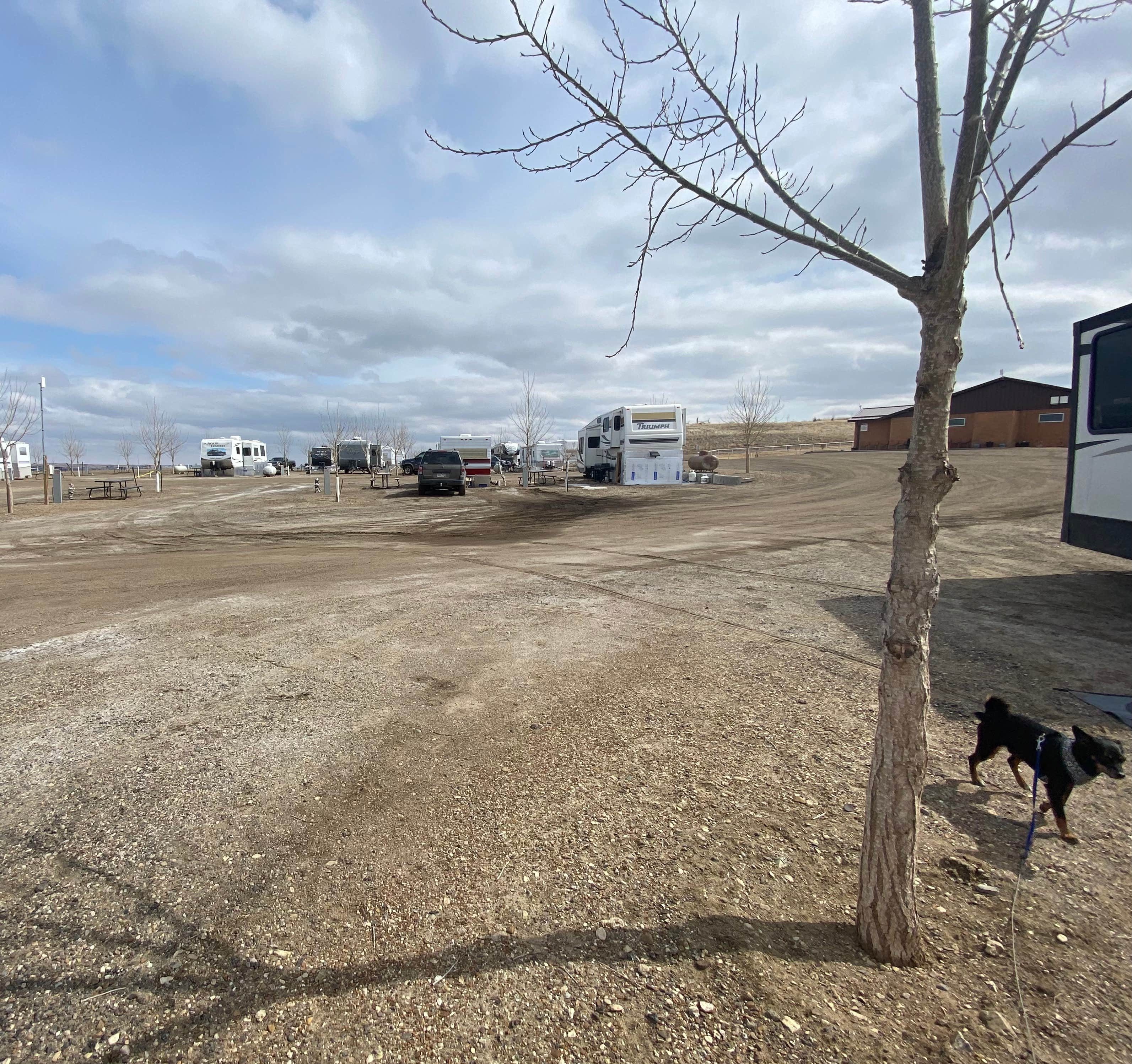 Shannon G.'s photo of camping with pets at River View RV Park near Lake Oahe