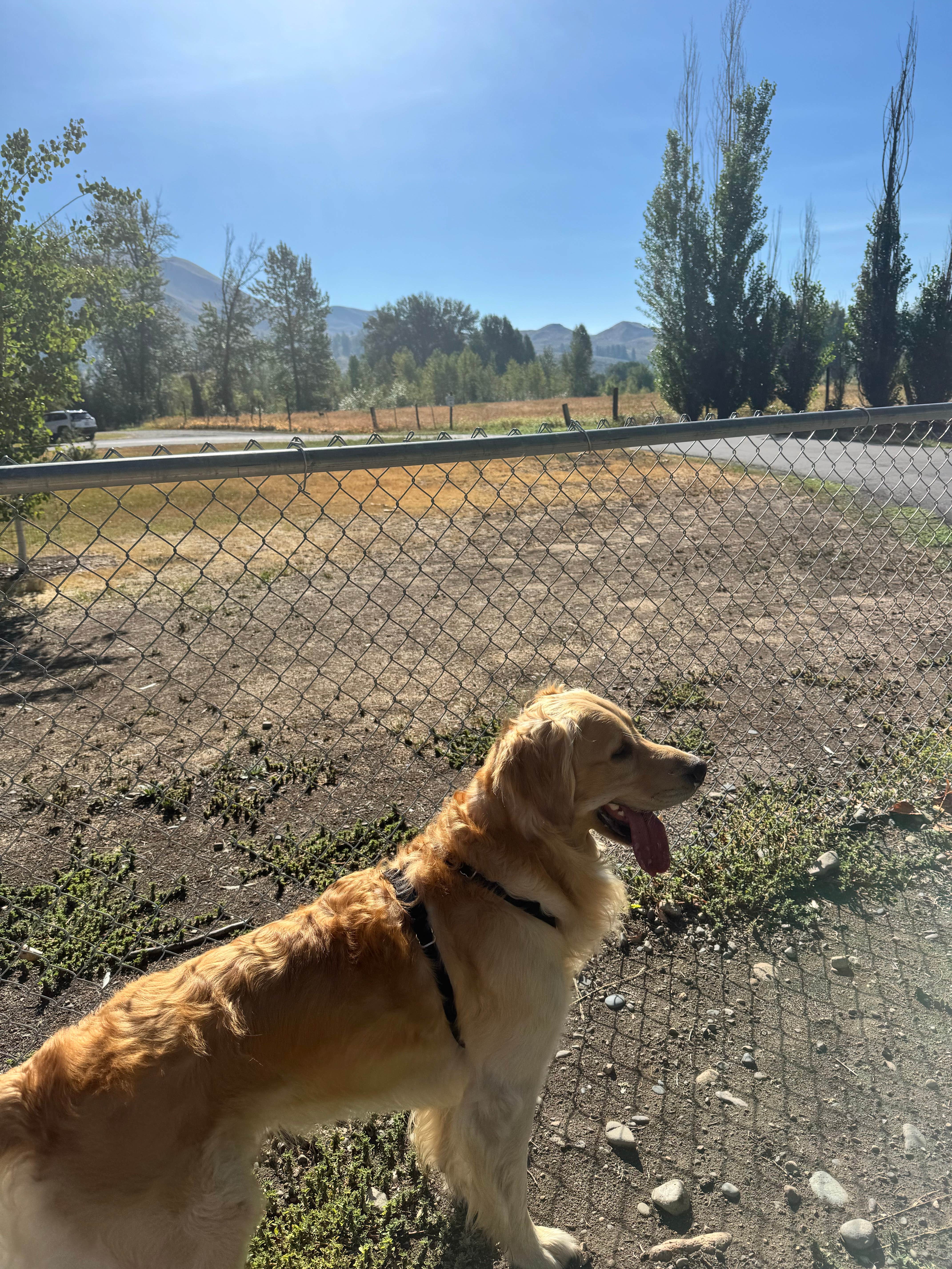 marea's photo of camping with pets at Riverbend RV Park near Conconully, WA