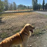 Review photo of Riverbend RV Park by marea , August 3, 2025