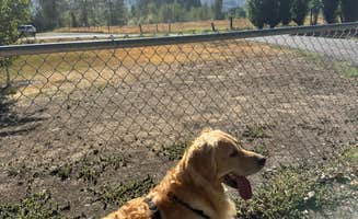 marea's photo of camping with pets at Riverbend RV Park near Lake Chelan National Recreation Area