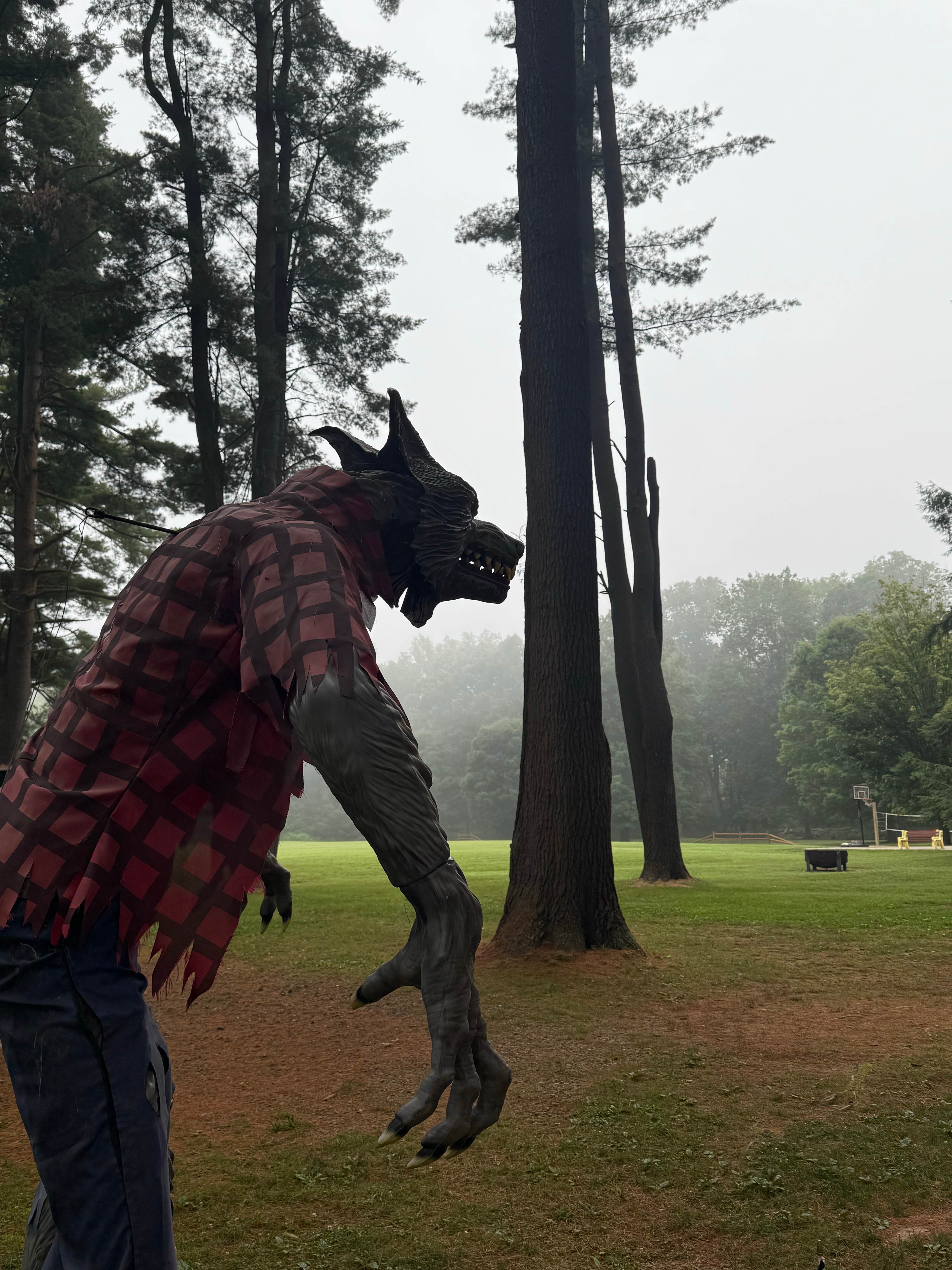 Camper-submitted photo at Riverhurst Park Campground near Wellsville, NY