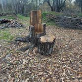 Review photo of Rivernook Campground by W. S., December 9, 2025