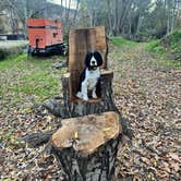 Review photo of Rivernook Campground by W. S., December 9, 2025