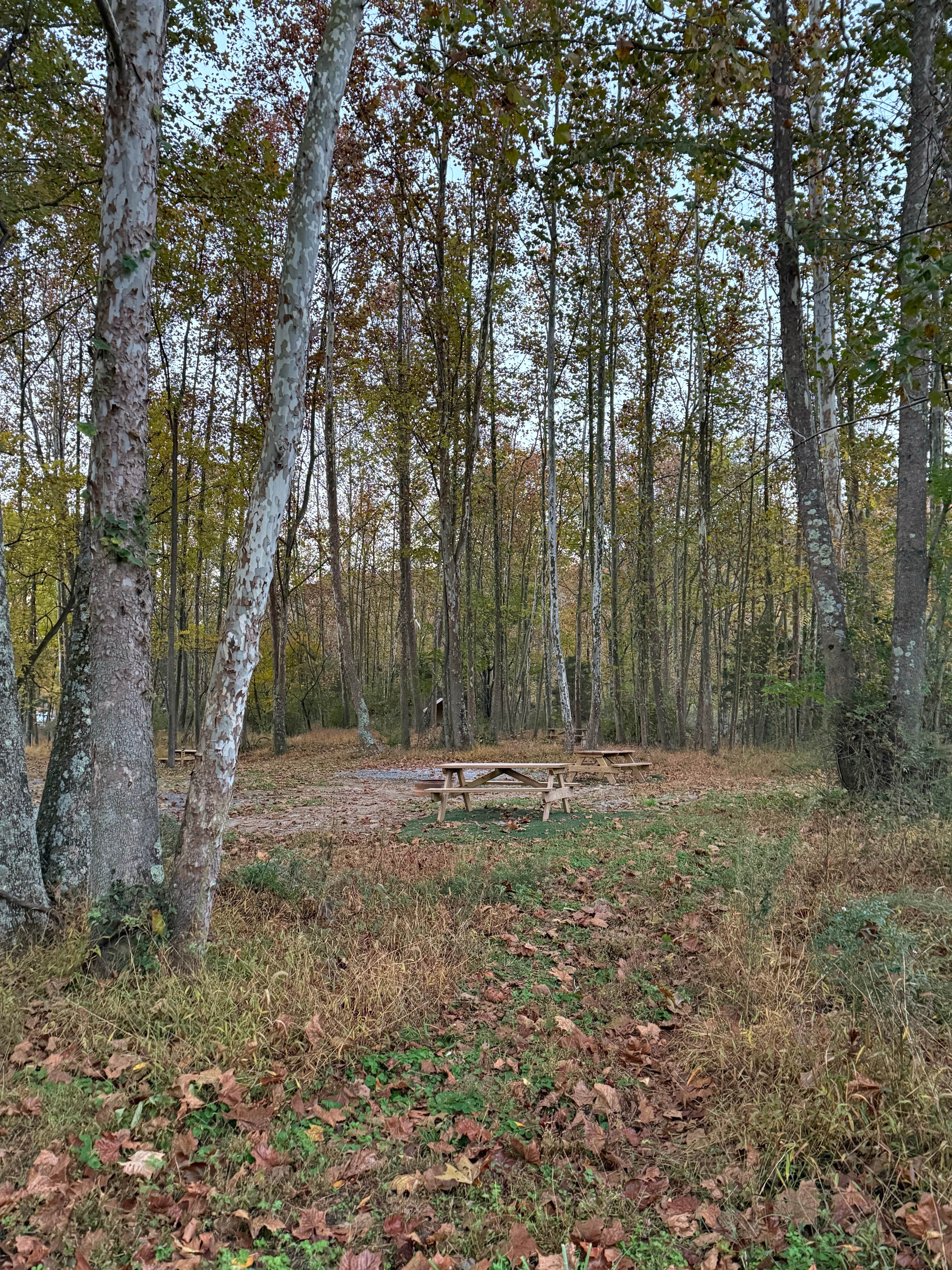 Camper-submitted photo at Rivers Edge Campground near Seneca Rocks, WV