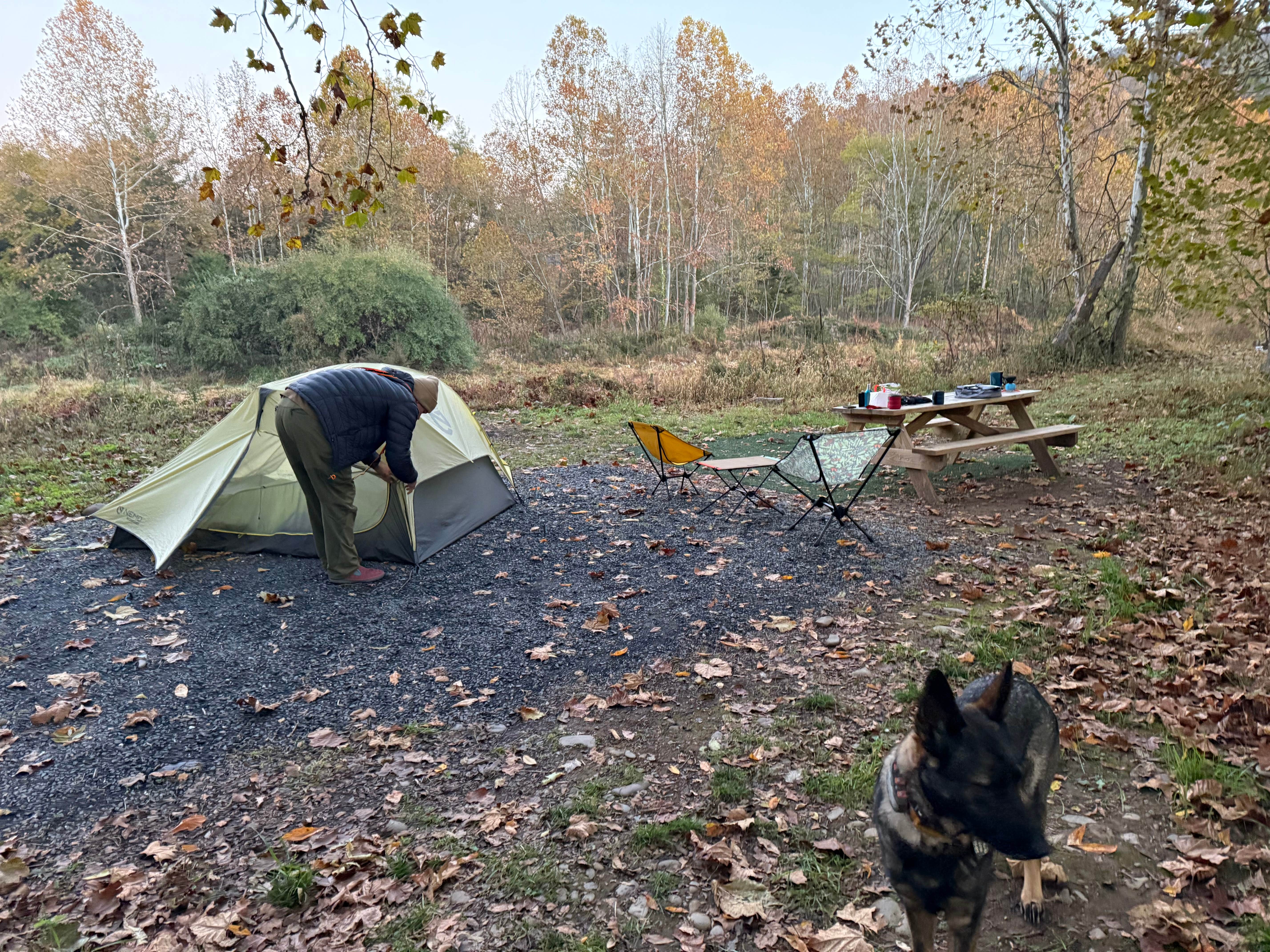 Camper-submitted photo at Rivers Edge Campground near Seneca Rocks, WV