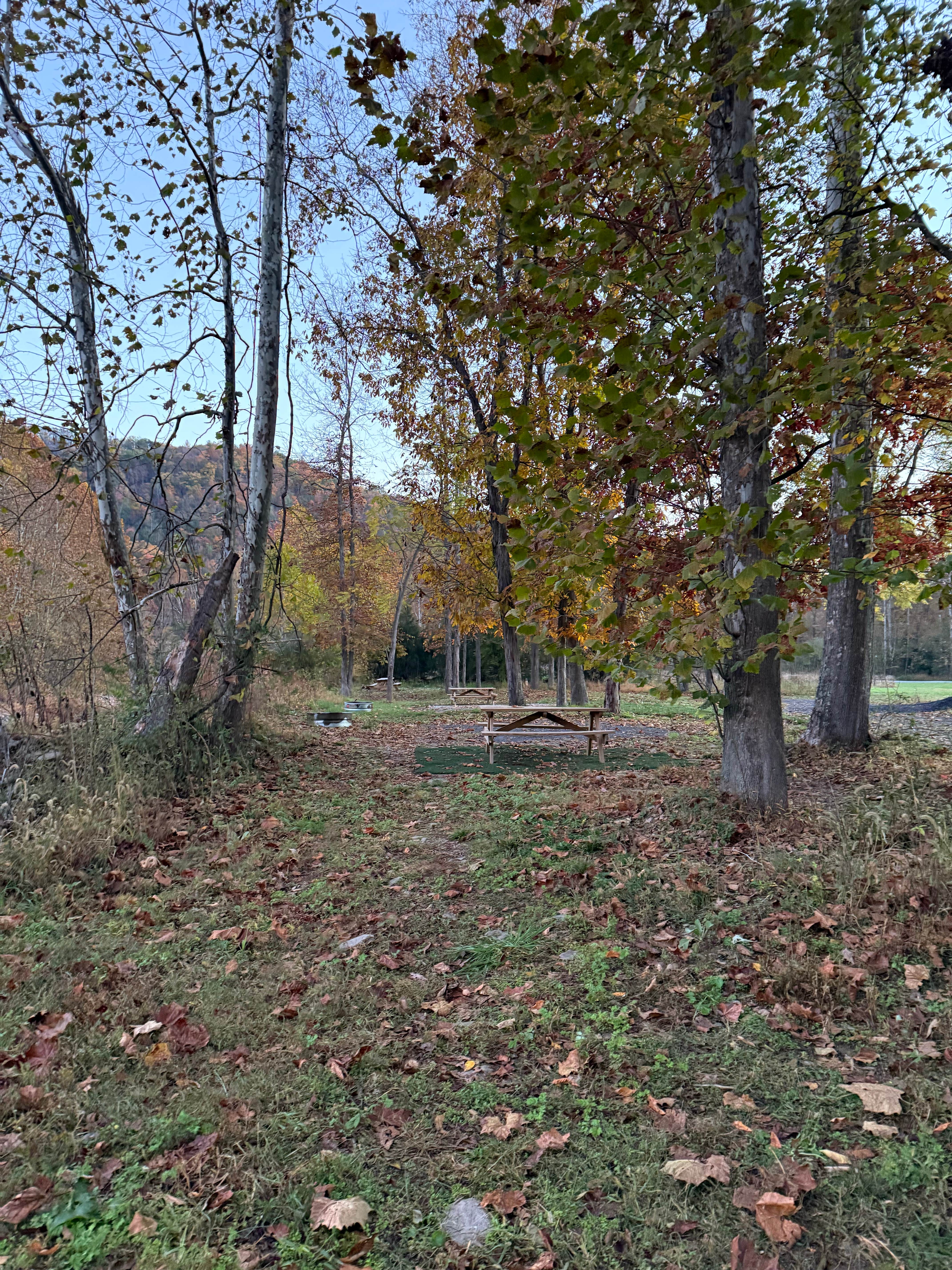 Camper-submitted photo at Rivers Edge Campground near Seneca Rocks, WV