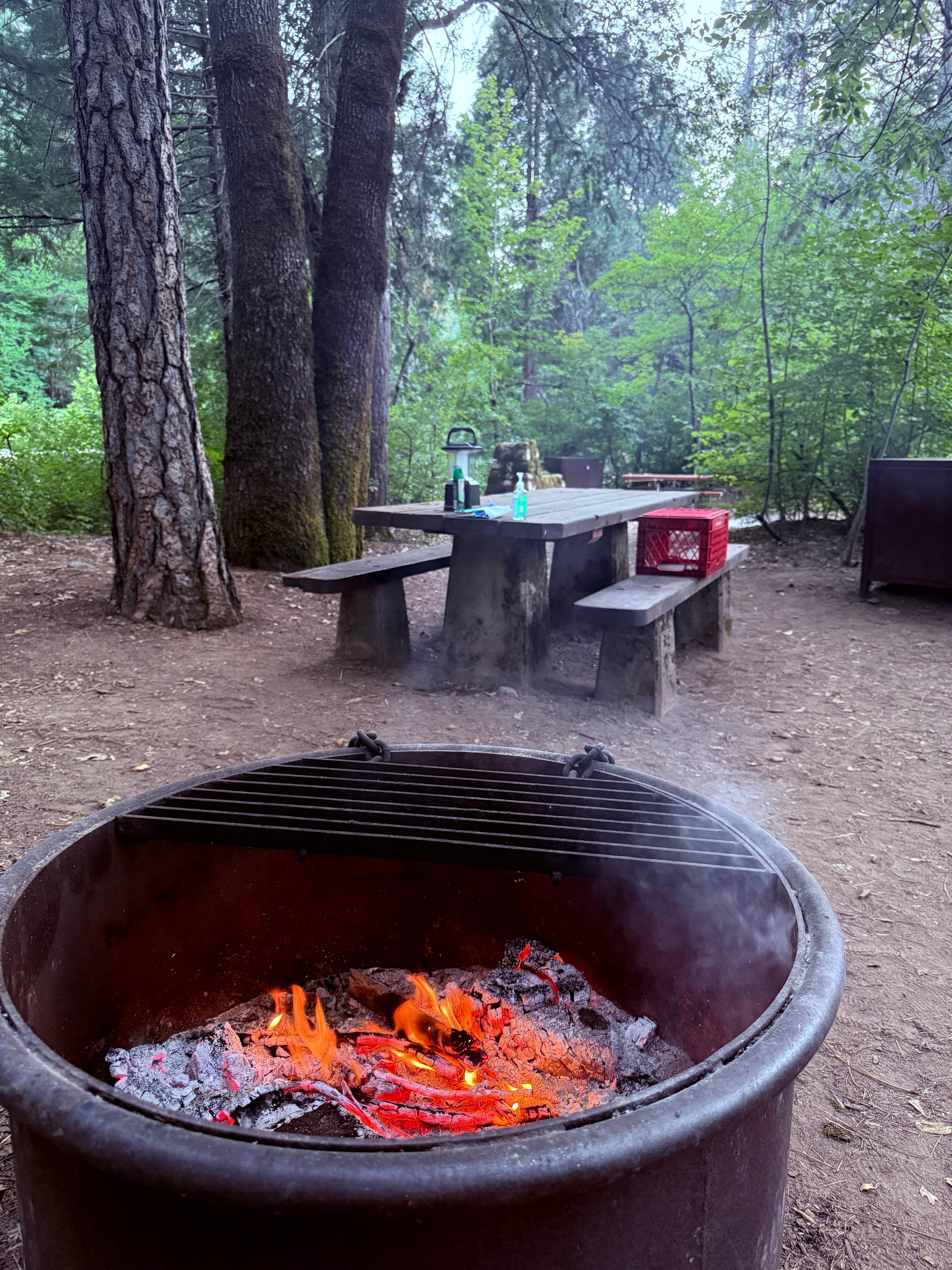 Camping near Kit Fox RV Park: Riverside Campground — Castle Crags State Park, Ripon, California