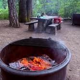 Review photo of Riverside Campground — Castle Crags State Park by Megan G., July 21, 2026