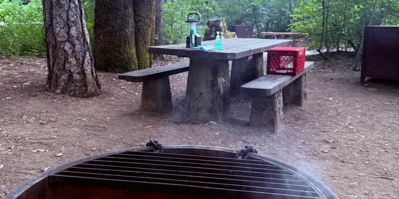 Camper submitted image from Riverside Campground — Castle Crags State Park