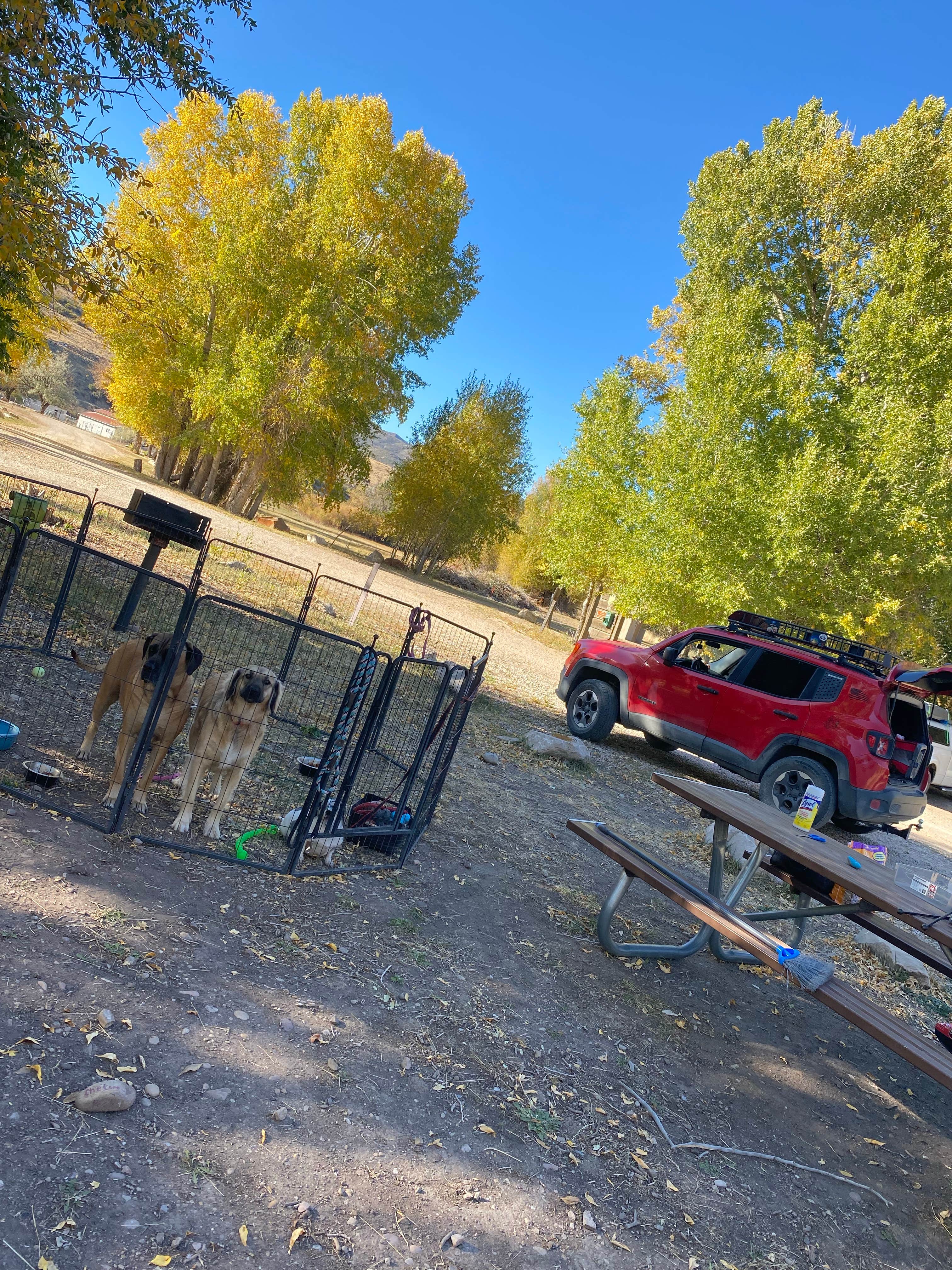 Imerie T.'s photo of camping with pets at Riverside Campground — Rockport State Park near Salt Lake City, UT