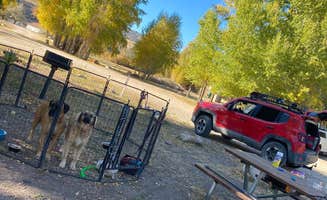 Imerie T.'s photo of camping with pets at Riverside Campground — Rockport State Park near Morgan, UT