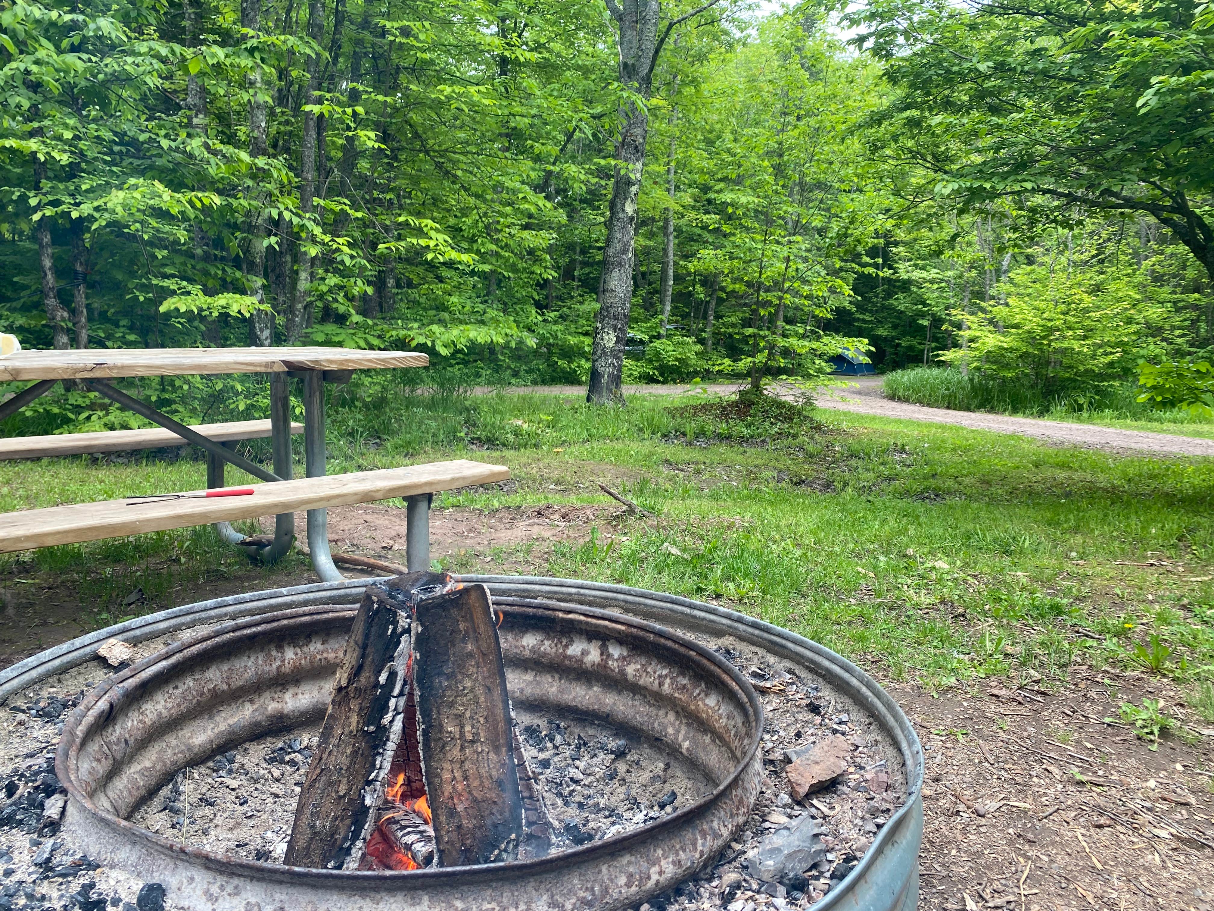 Camper submitted image from White Pine Rustic Outpost Camp — Porcupine Mountains Wilderness State Park - 2