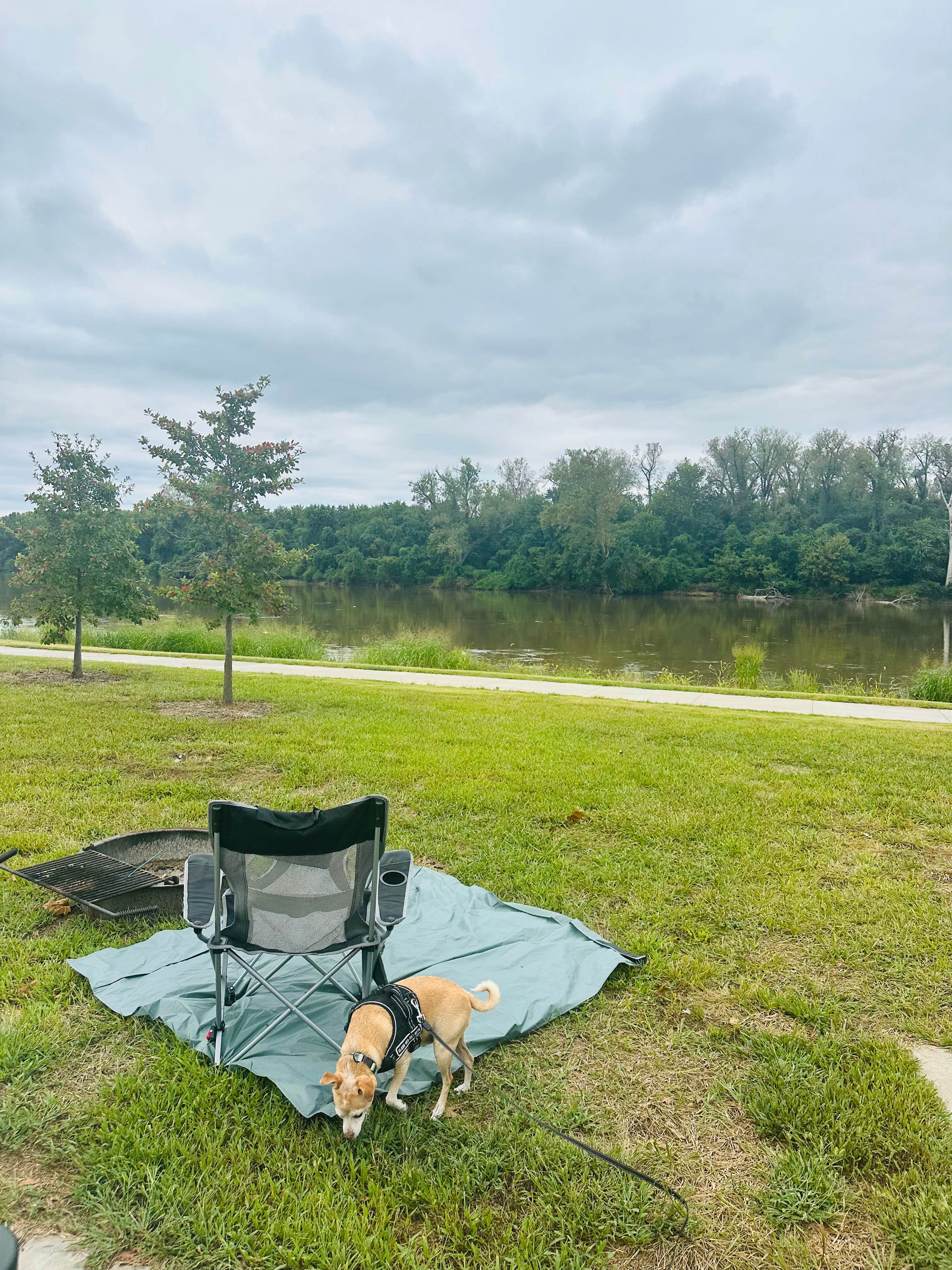 Beth Y.'s photo of camping with pets at Riverside Landing near Robertsville, MO