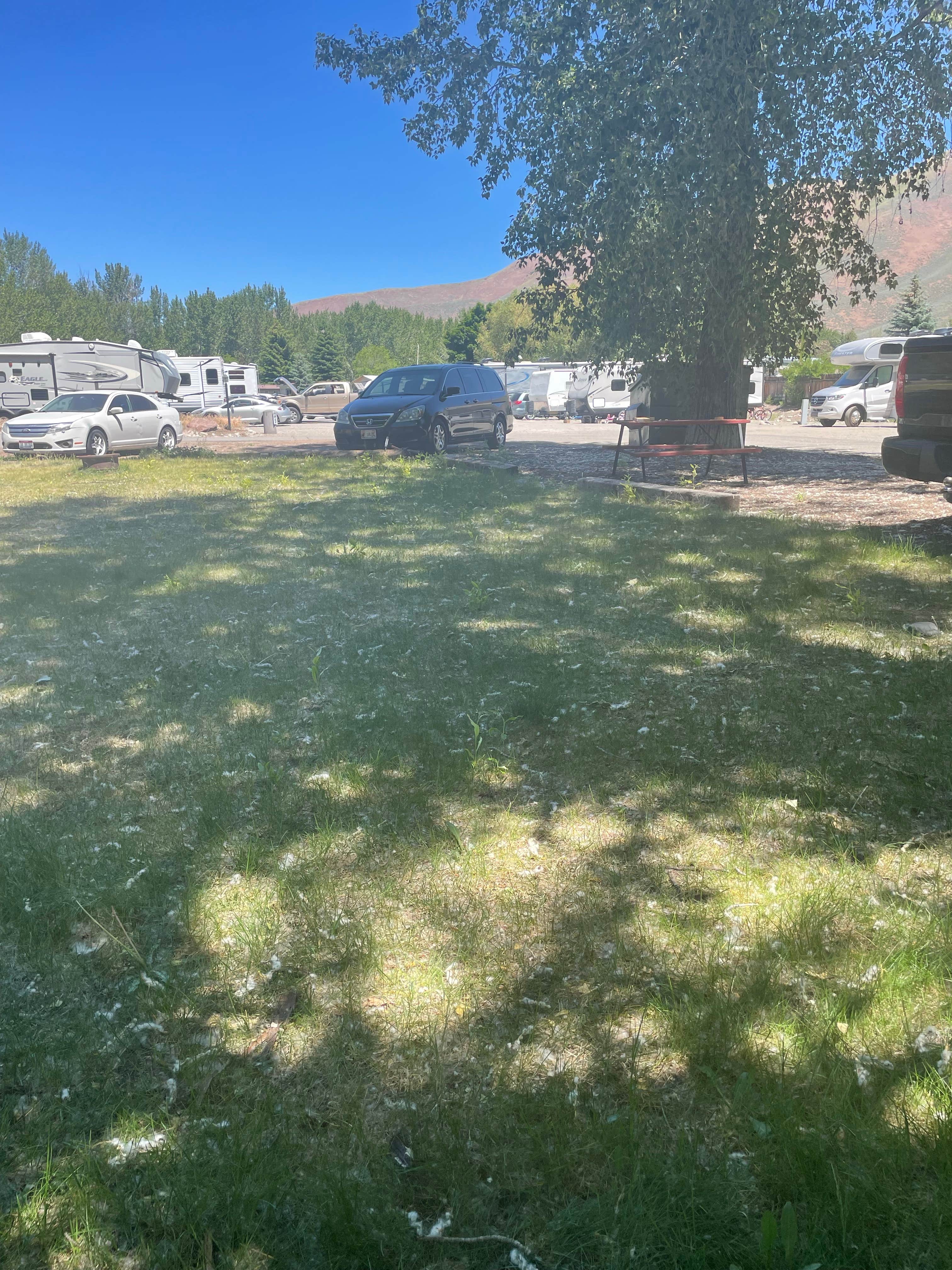 Camper-submitted photo at Riverside RV Campground near Atlanta, ID