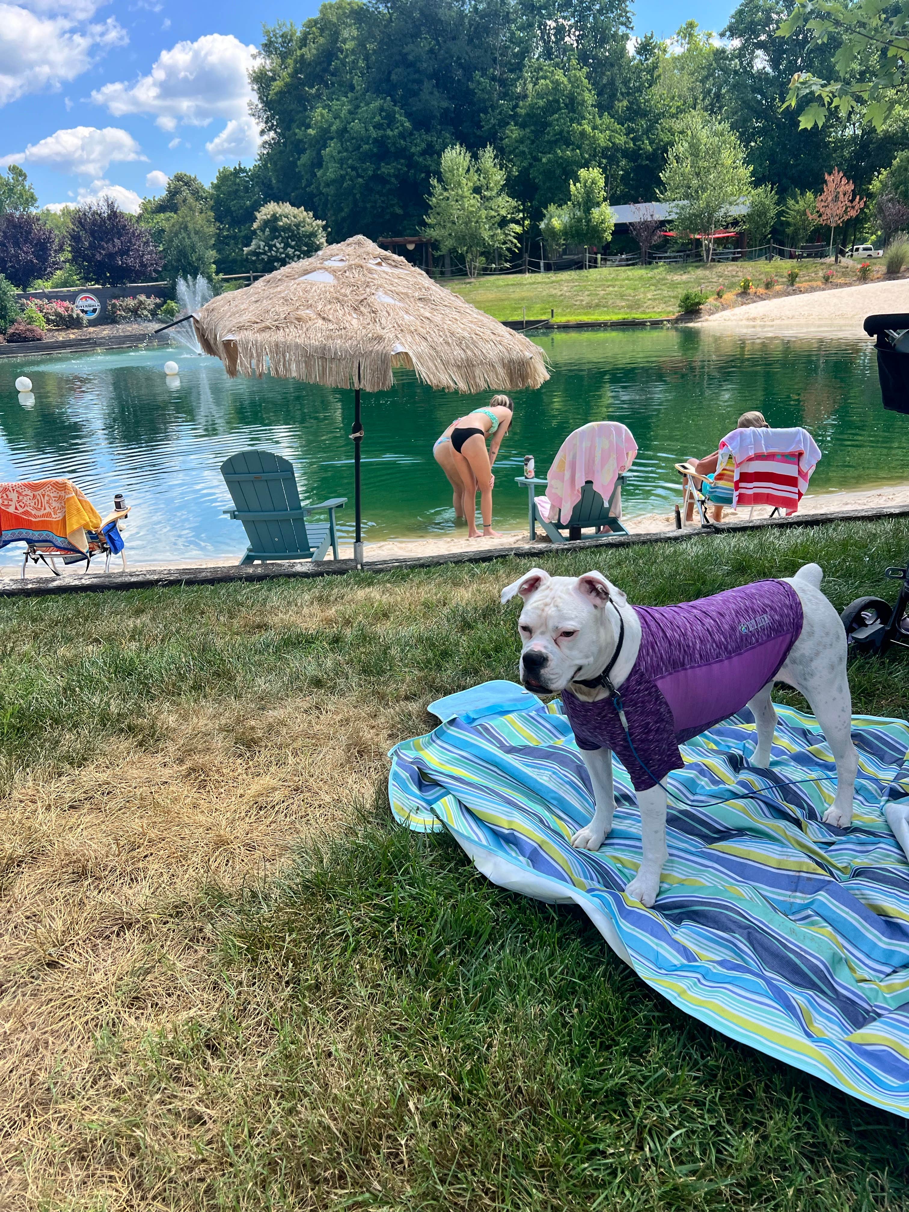 Donna B.'s photo of camping with pets at Riverwalk RV Park near Cana, VA
