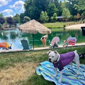 Review photo of Riverwalk RV Park by Donna B., July 1, 2024