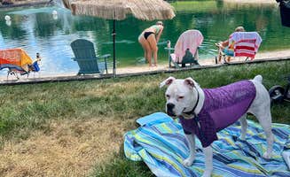Donna B.'s photo of camping with pets at Riverwalk RV Park near Elkin, NC