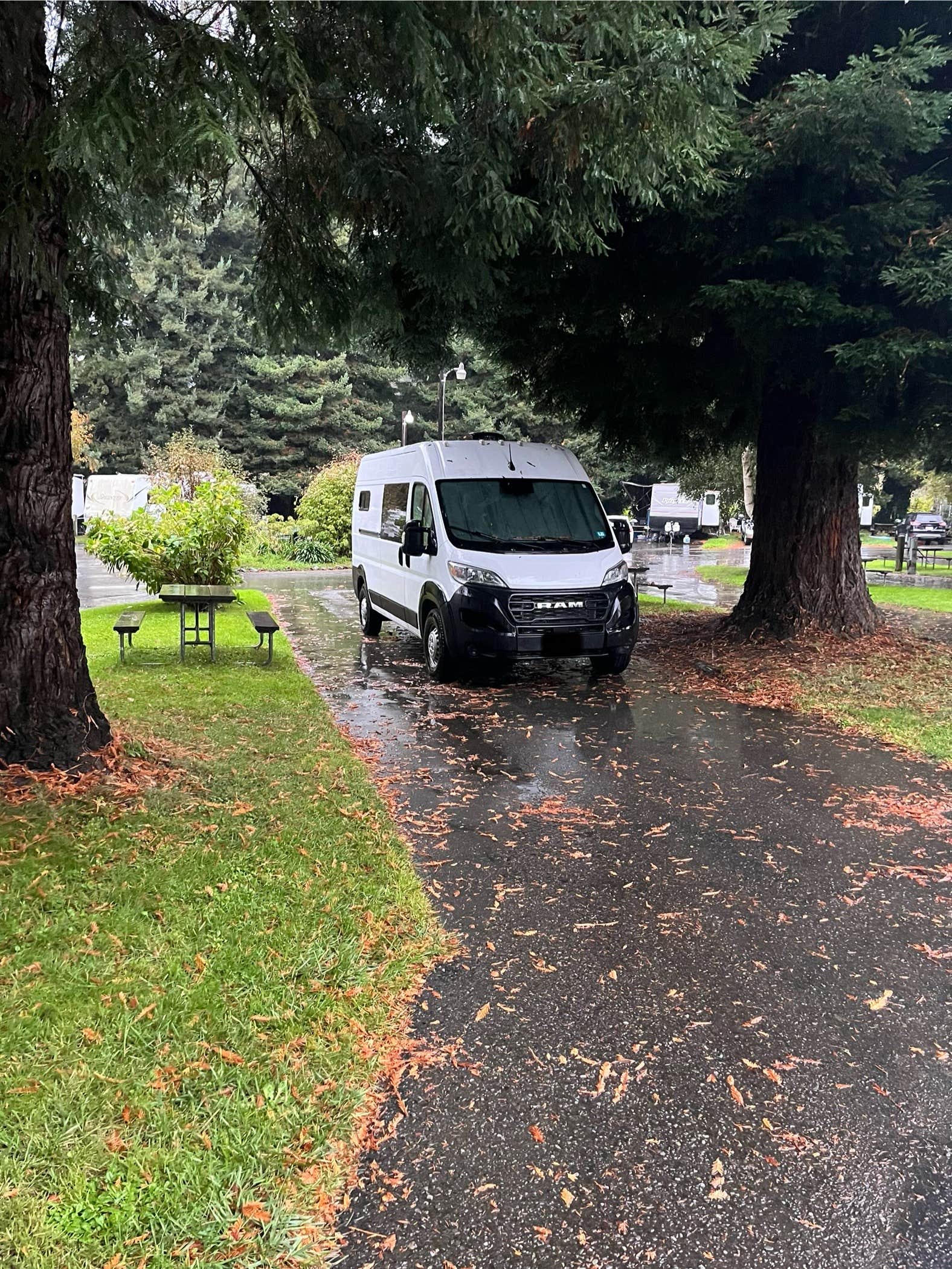 Camper-submitted photo at Riverwalk RV Park near Weott, CA