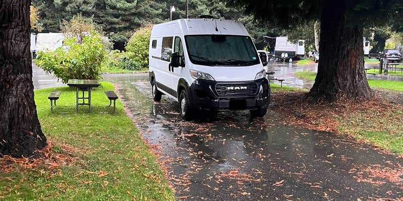 Camper submitted image from Riverwalk RV Park