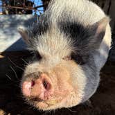 Review photo of Riviera Farms by Chad F., January 12, 2026