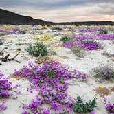 Review photo of Riviera Farms by Chad F., January 12, 2026