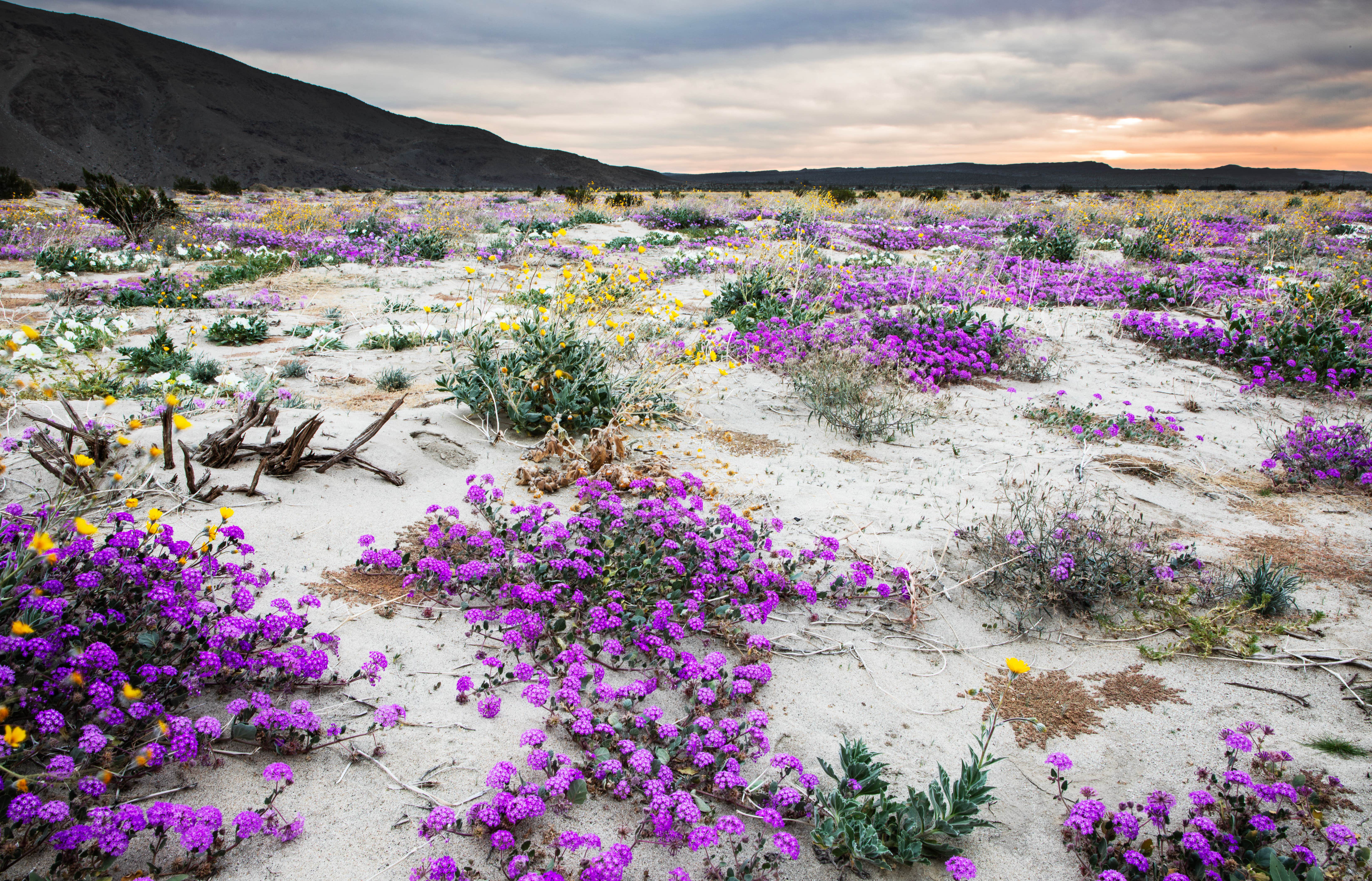 Camper submitted image from Riviera Farms - 3