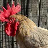 Review photo of Riviera Farms by Chad F., January 12, 2026