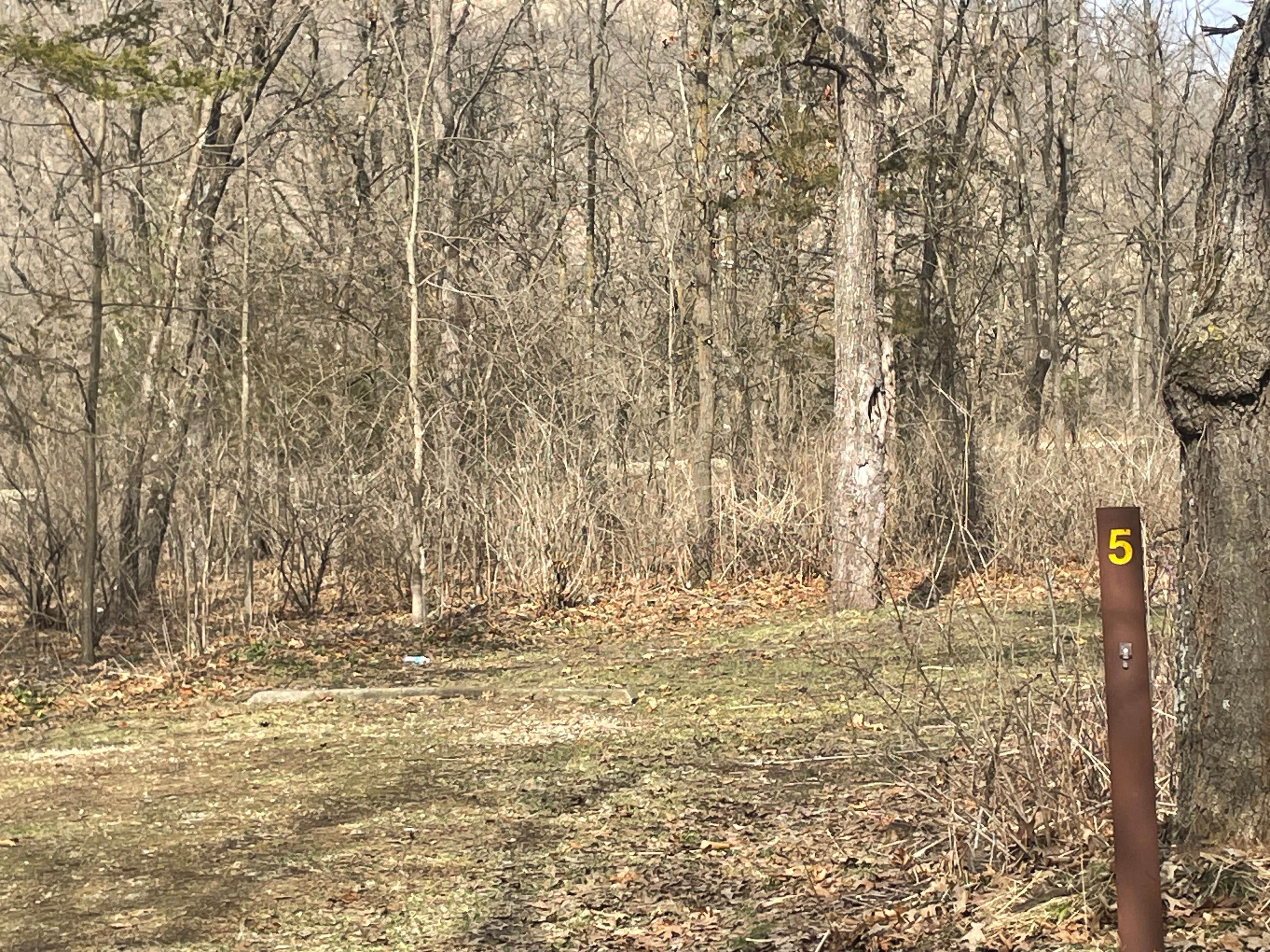 Camper-submitted photo at Money Creek & Vinegar Ridge — R.J.D. Memorial Hardwood State Forest near Houston, MN