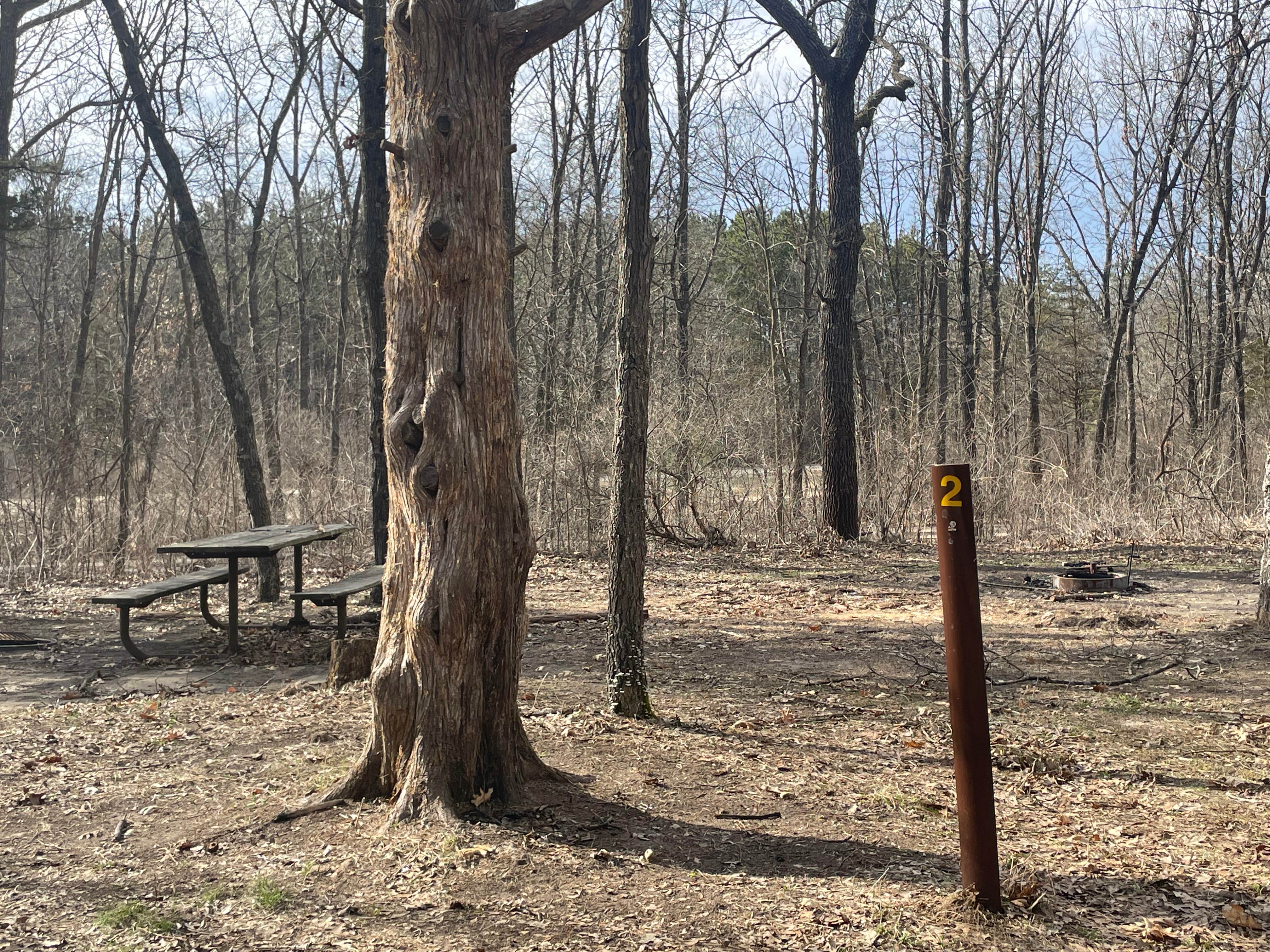 Camper-submitted photo at Money Creek & Vinegar Ridge — R.J.D. Memorial Hardwood State Forest near Houston, MN