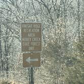 Review photo of Money Creek & Vinegar Ridge — R.J.D. Memorial Hardwood State Forest by Crystal B., March 30, 2026
