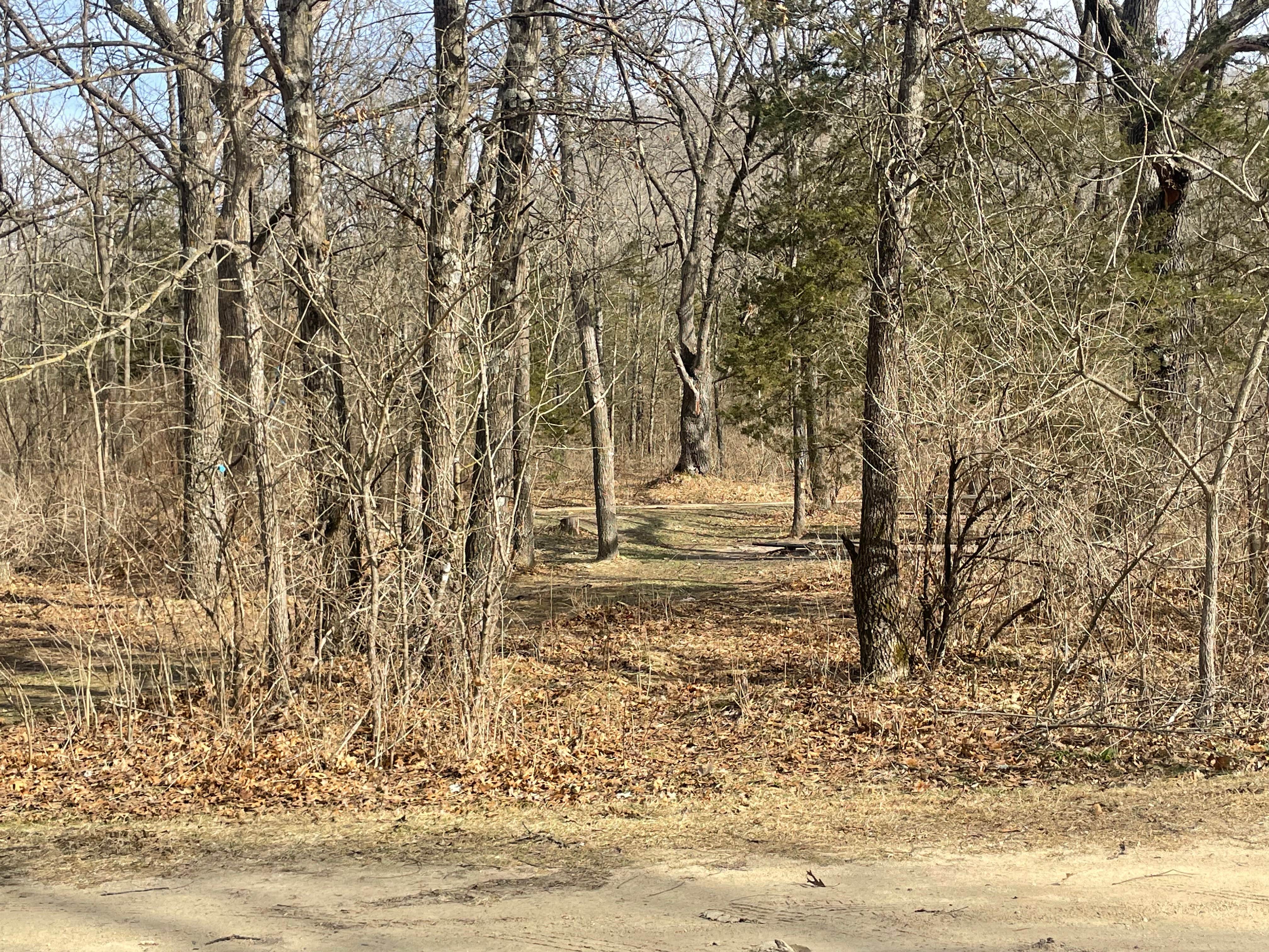 Camper-submitted photo at Money Creek & Vinegar Ridge — R.J.D. Memorial Hardwood State Forest near Houston, MN