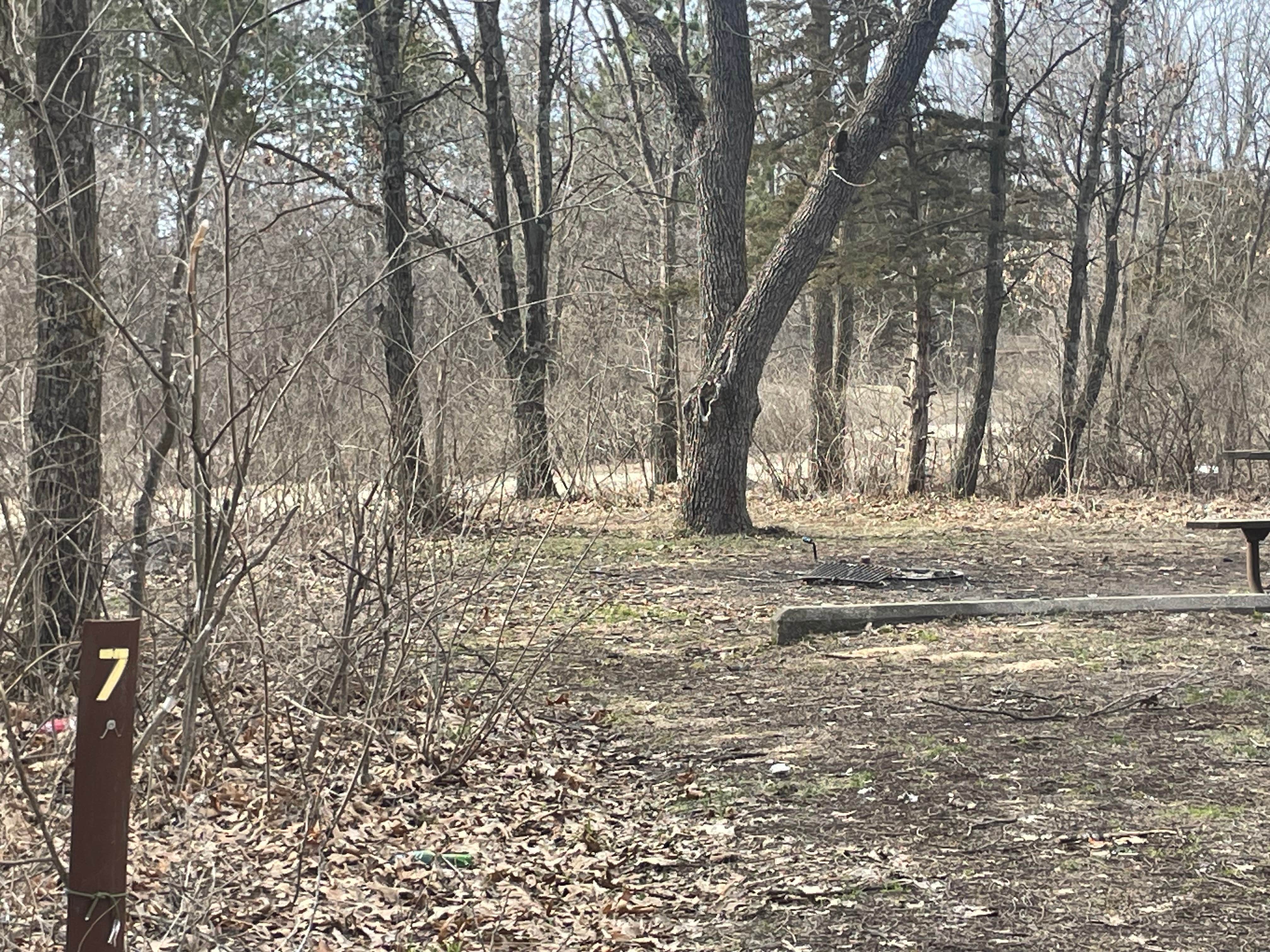 Camping near Northend Campground: Money Creek & Vinegar Ridge — R.J.D. Memorial Hardwood State Forest, Money Creek, Minnesota