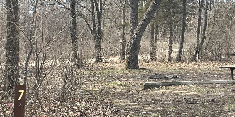 Camper submitted image from Money Creek & Vinegar Ridge — R.J.D. Memorial Hardwood State Forest