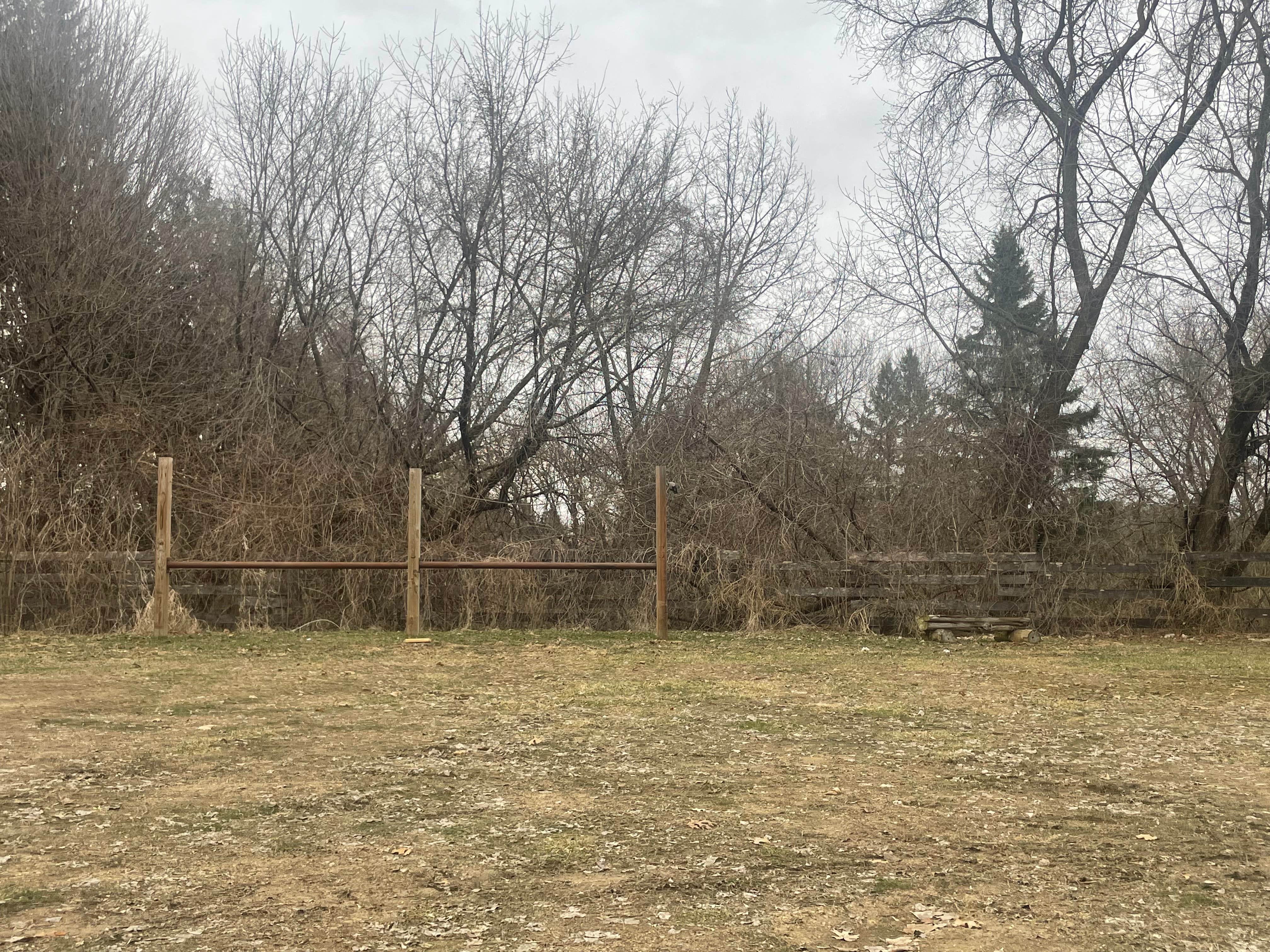 Camping near Spring Grove KOA journey: Oak Ridge / Wet Bark Recreation Area — R.J.D. Memorial Hardwood State Forest, Houston, Minnesota