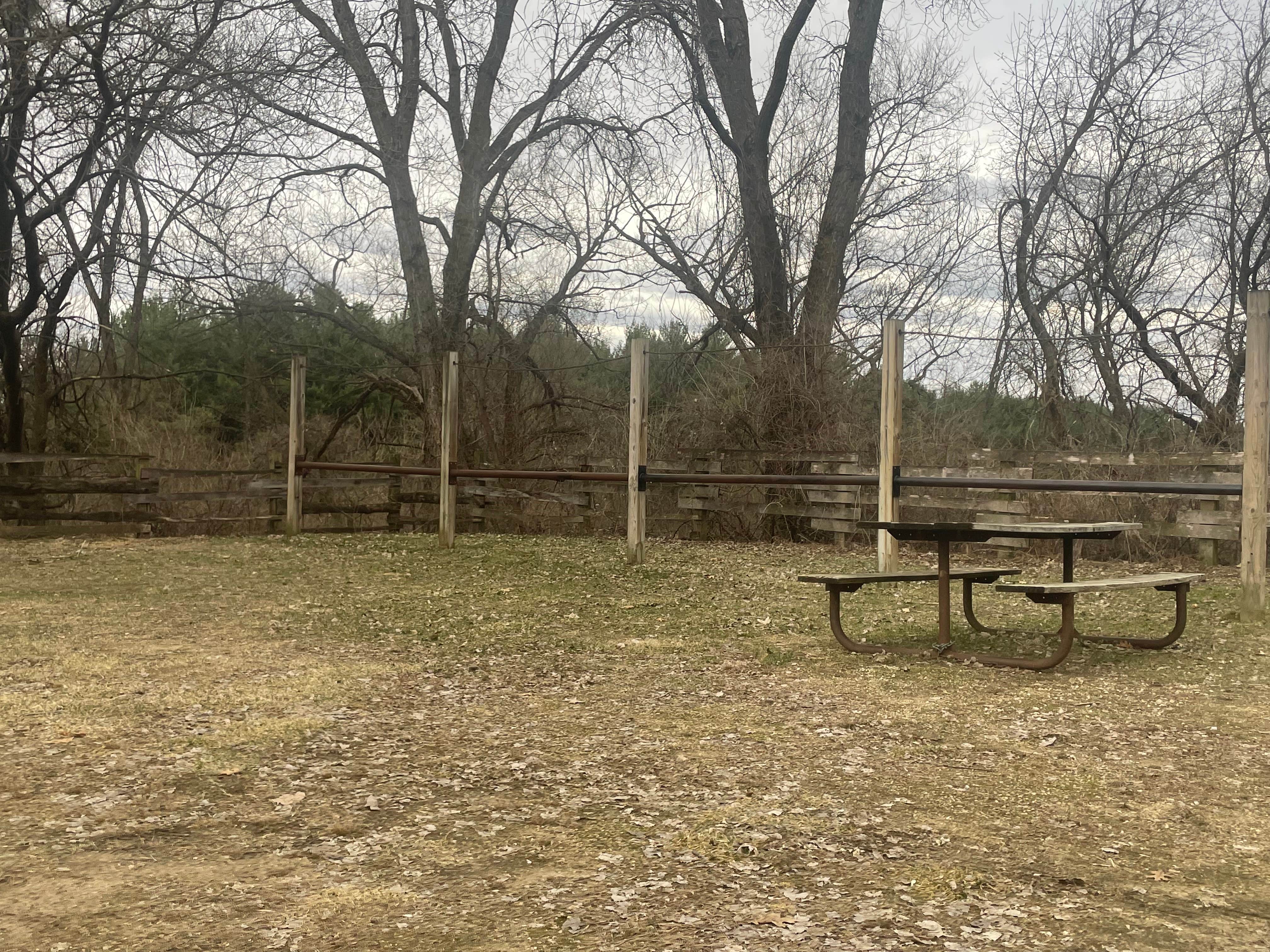 Camper-submitted photo at Oak Ridge / Wet Bark Recreation Area — R.J.D. Memorial Hardwood State Forest near Beaver, MN