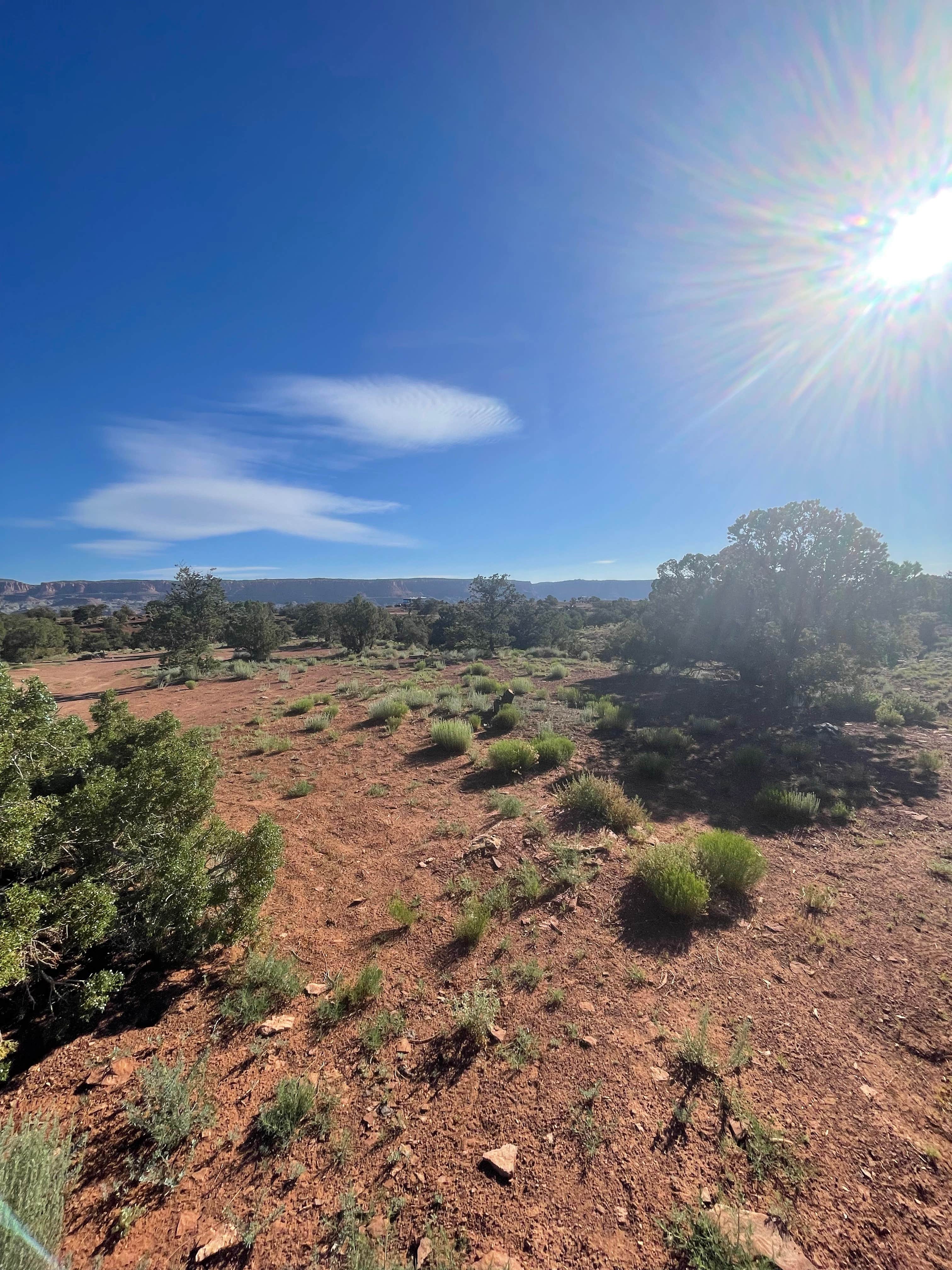 jaydn's photo of a dispersed camping area at Road 1280 East of Torrey Utah near Capitol Reef National Park