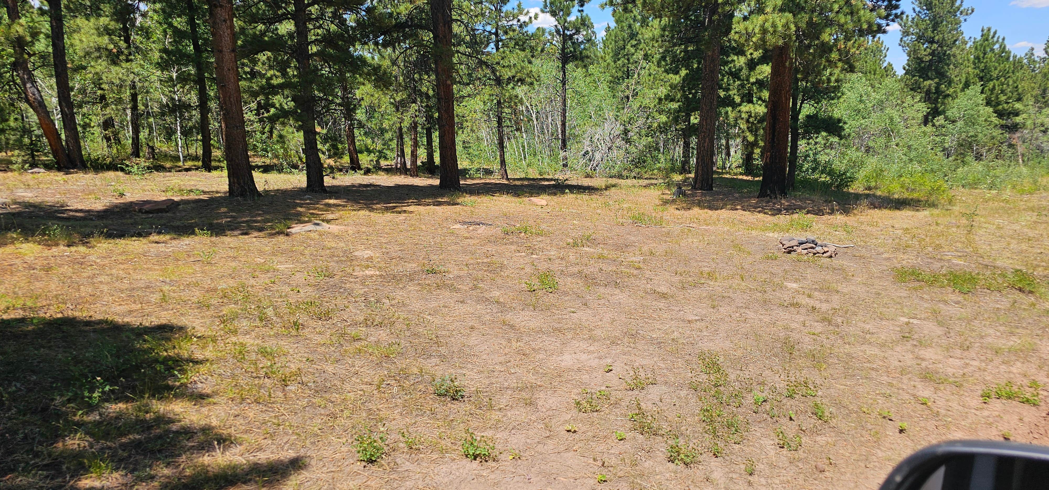 Camper submitted image from Road #839 Dispersed Camping - 1
