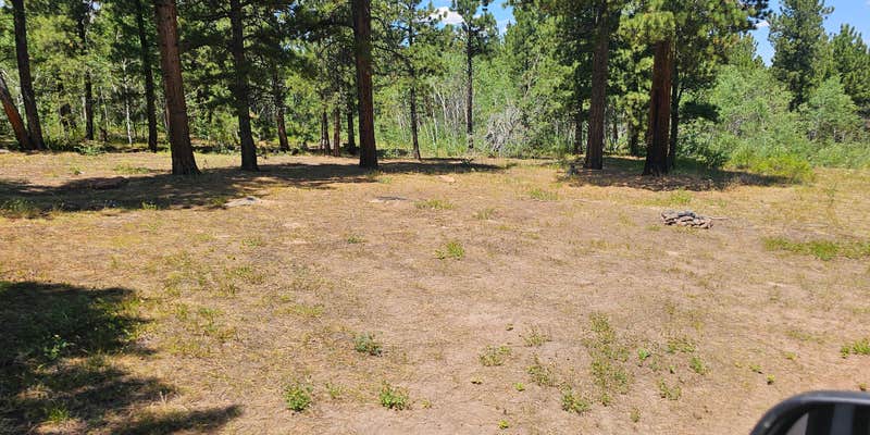 Camper submitted image from Road #839 Dispersed Camping