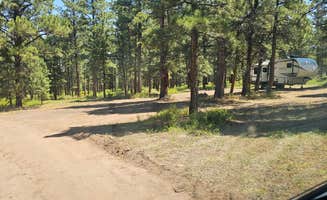 johny R.'s photo at Road #839 Dispersed Camping near Ashley National Forest