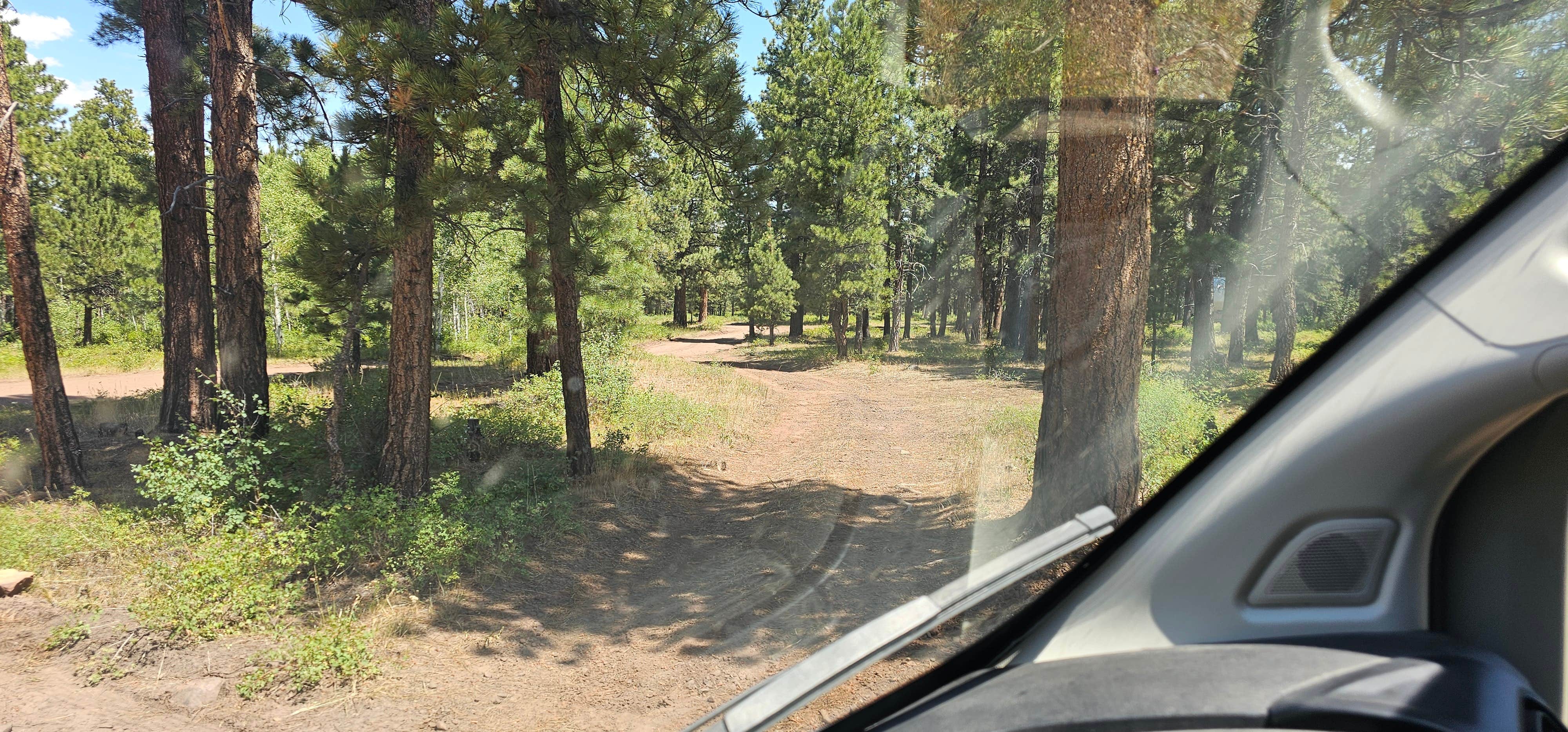 Camper-submitted photo at Road #839 Dispersed Camping near Flaming Gorge, UT