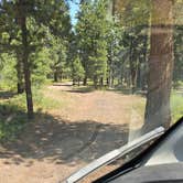 Review photo of Road #839 Dispersed Camping by johny R., July 14, 2025