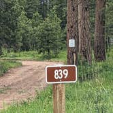 Review photo of Road #839 Dispersed Camping by Greg L., June 14, 2024