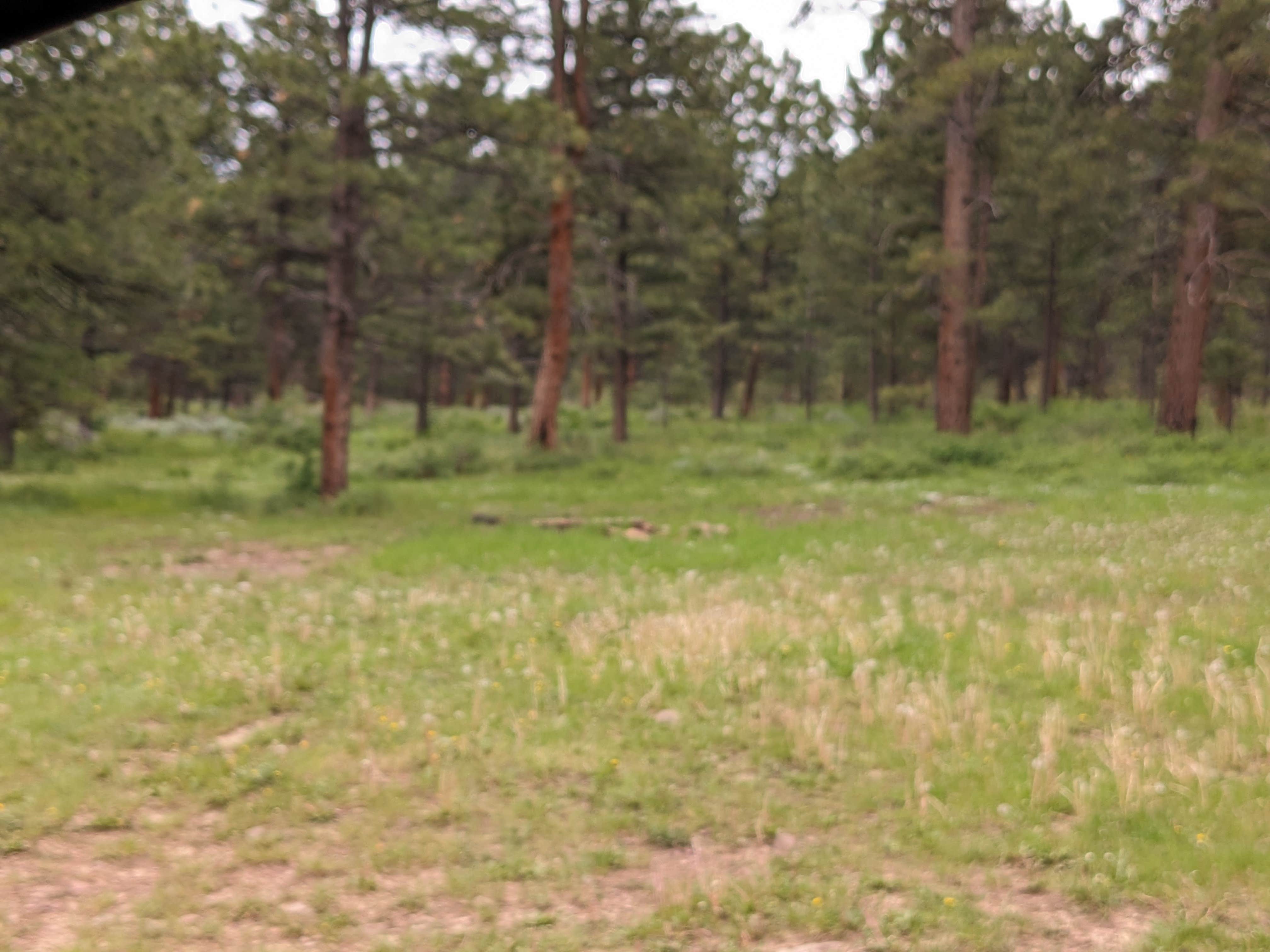 Camper-submitted photo at Road #839 Dispersed Camping near Flaming Gorge, UT