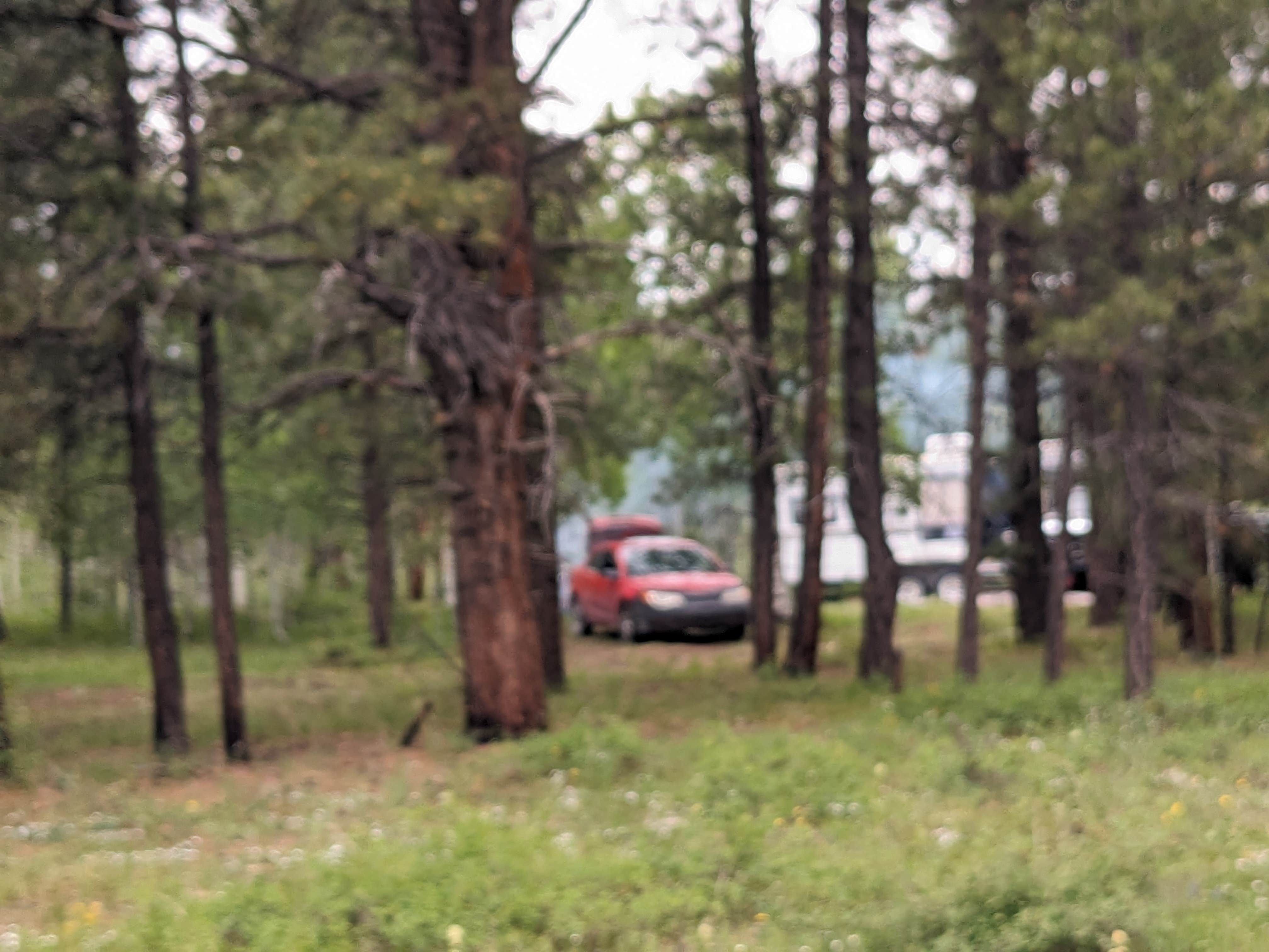 Camper-submitted photo at Road #839 Dispersed Camping near Flaming Gorge, UT