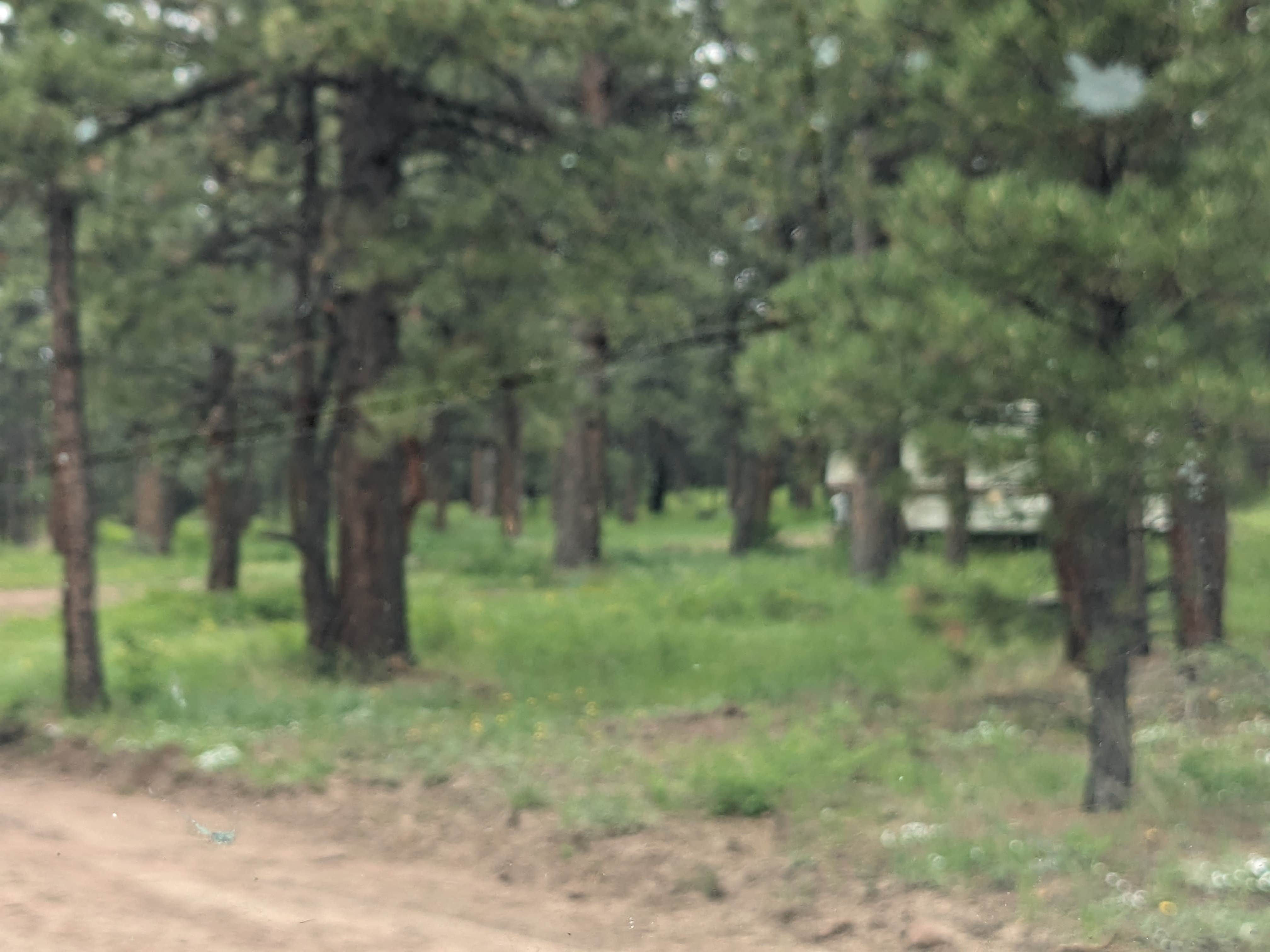 Camper-submitted photo at Road #839 Dispersed Camping near Flaming Gorge, UT