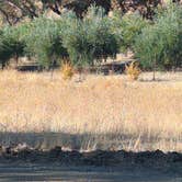 Review photo of Road's End, Bradley Lockwood by James W., October 17, 2026